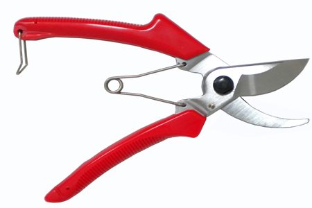 �ձ���ɽ��֦��