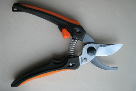 �����_���º���֦��