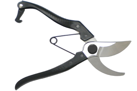 �����_���º���֦��