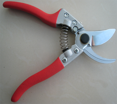 �����_���º���֦��