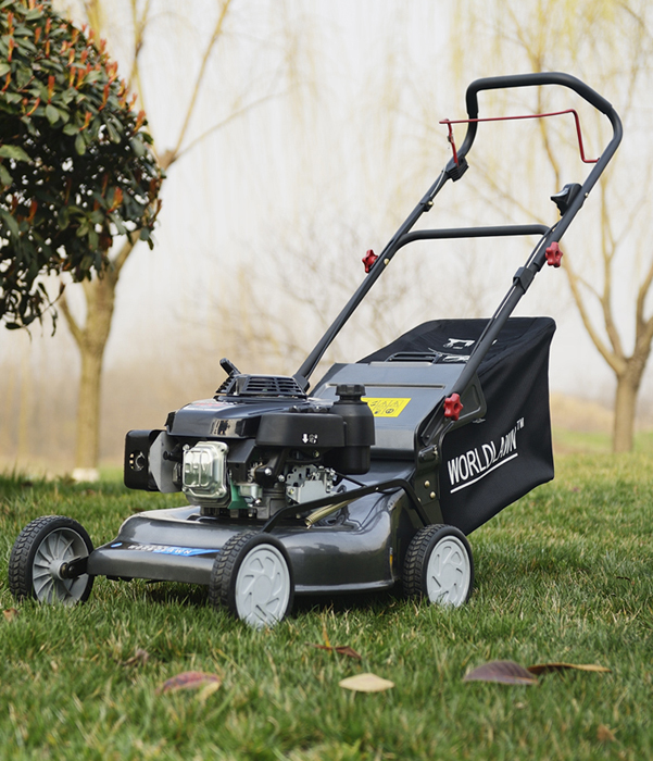 ���������ƺ�C(j��)